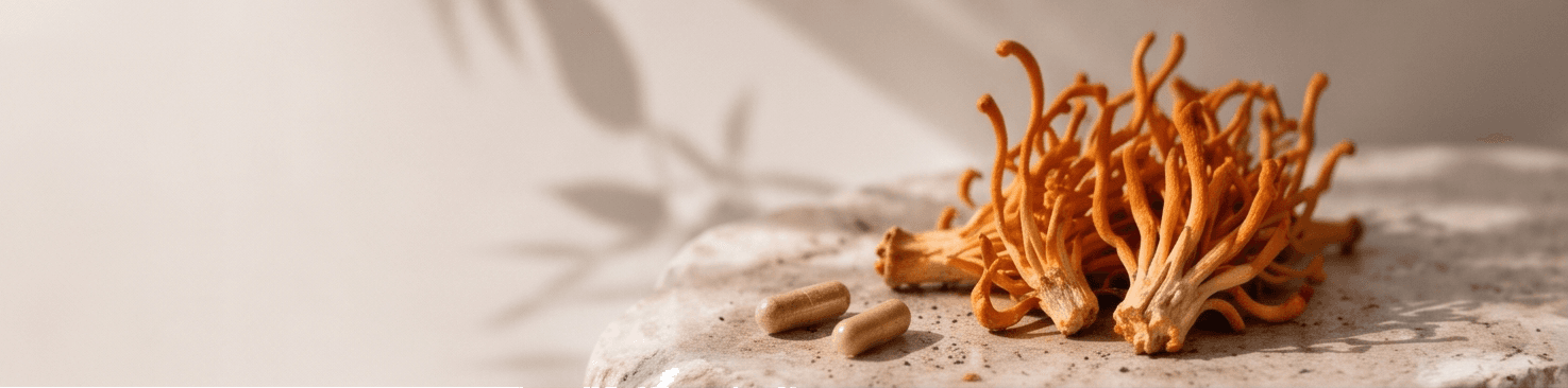 A cluster of cordyceps militaris beside two capsules on stone