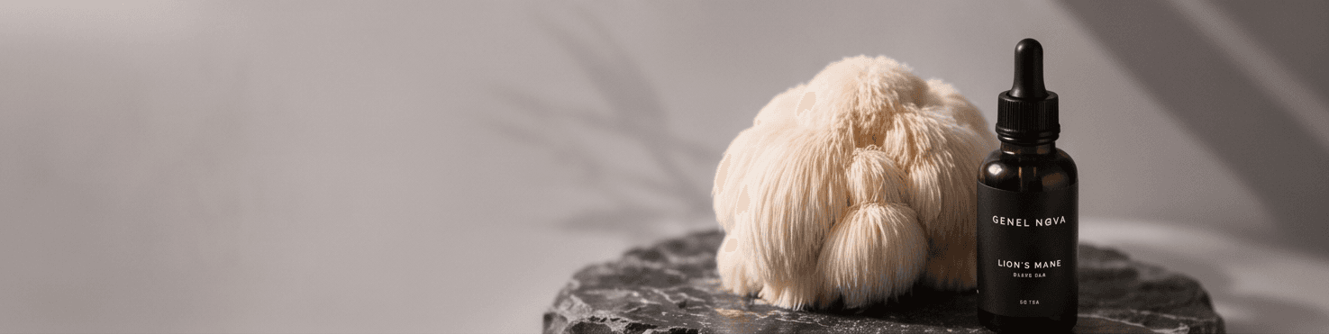A lion's mane fruiting body and a Lion's Mane dropper bottle on dark stone
