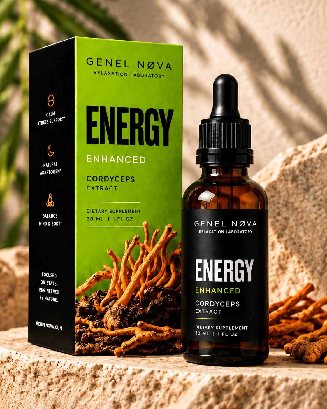 A green Energy box and amber dropper bottle with cordyceps on sunlit stone